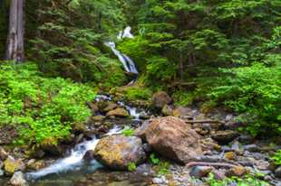 Waterfall in Mt. Rainier-7293.jpg Waterfall in Mt. Rainier-7293.jpg